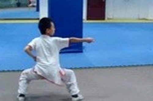 武术馆有哪些武术种类