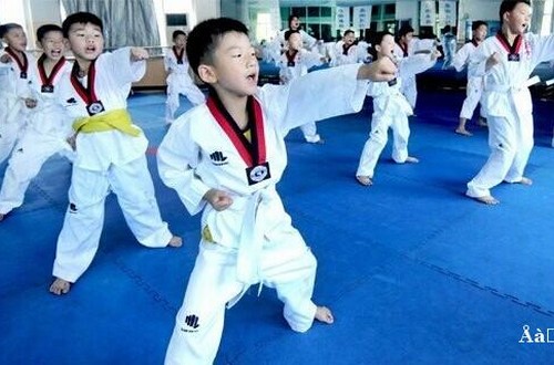 武术中防守与进攻节奏的掌握至关重要