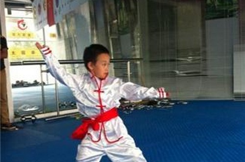 长期学习武术可以锻炼孩子的意志